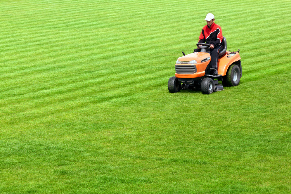Lawn Care